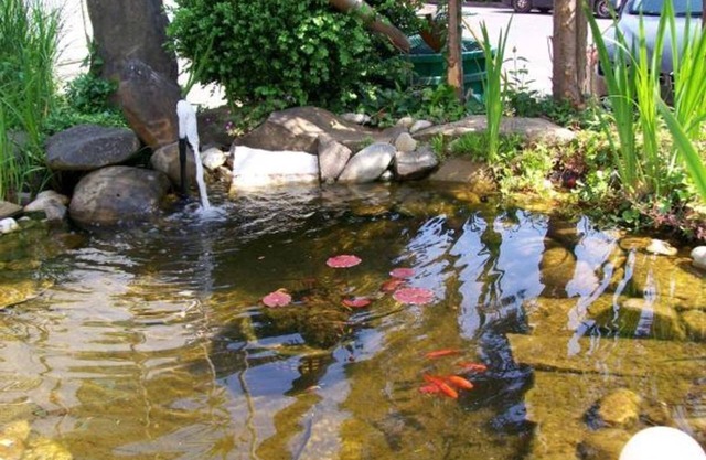 Ferienwohnung Rosengarten - 1 Nacht - Stockers Kleines Dorfhotel