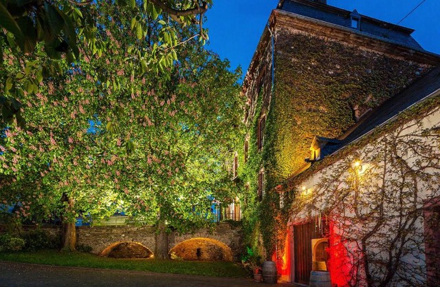 Ferienwohnung Sauvignon Blanc Weingut Zur Burg