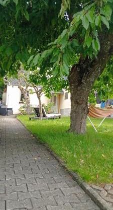 Ferienwohnung Waldblick in Frauenstein