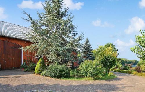 Ferienwohnung Wokuhl-Dabelow