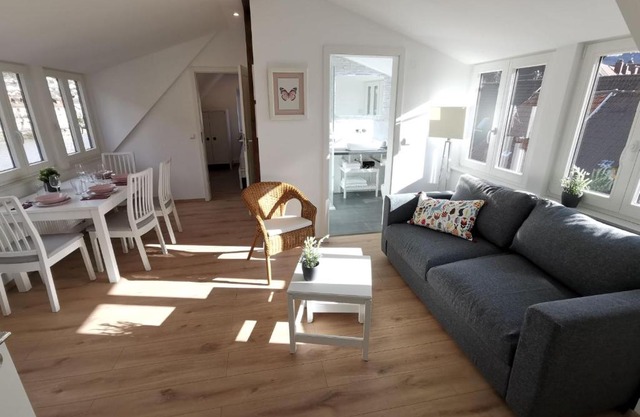 Ferienwohnungen Flussufer - Neckargemünd Altstadt