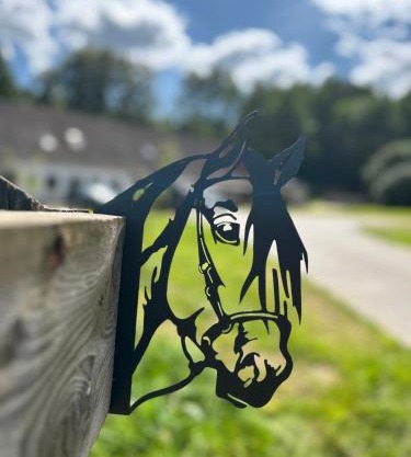 Ferienzimmer Teiselsmühle Gehren Heideblick