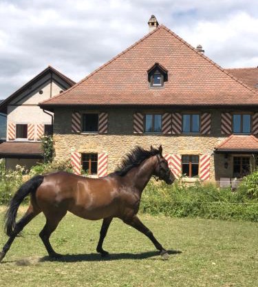 Ferme de Grandchamp