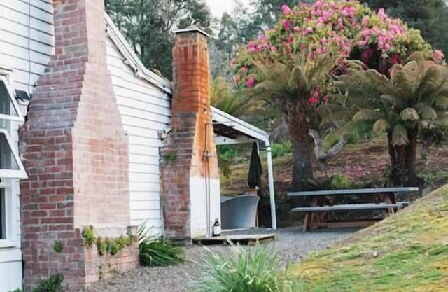 Fern Mt Field on Tyenna River