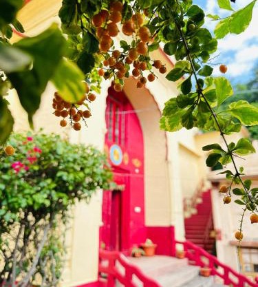 Ferozi House x Padm Lakshmi Palace Arki