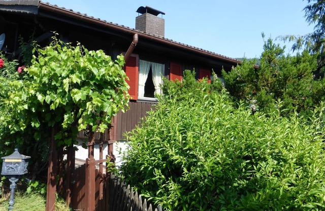 Fewo Tannenhof 1 - Tannenhof 1