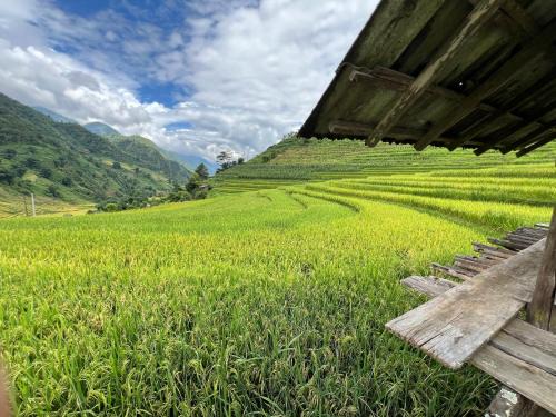 Field House SaPa - Nậm Cang