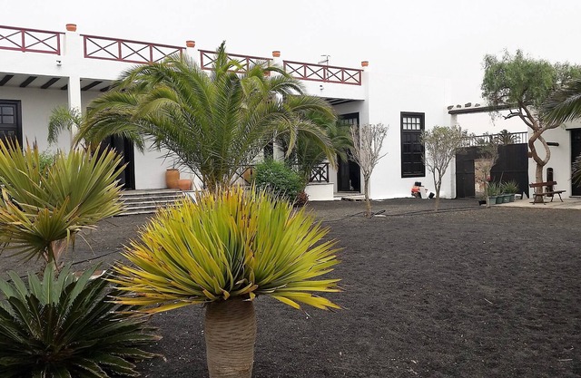 Finca Fajardo - Timbayba with winery in the center of Lanzarote. Free Wifi