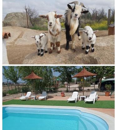 Finca - Granja " El Chaparral"