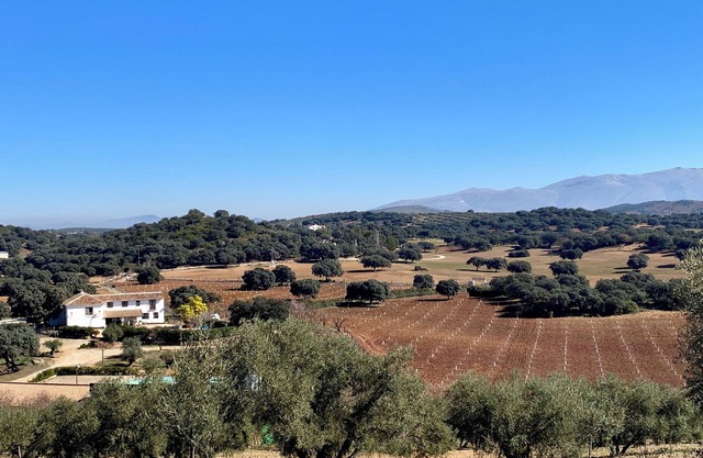 Finca La Carraca, in the center of Andalusia, Malaga.