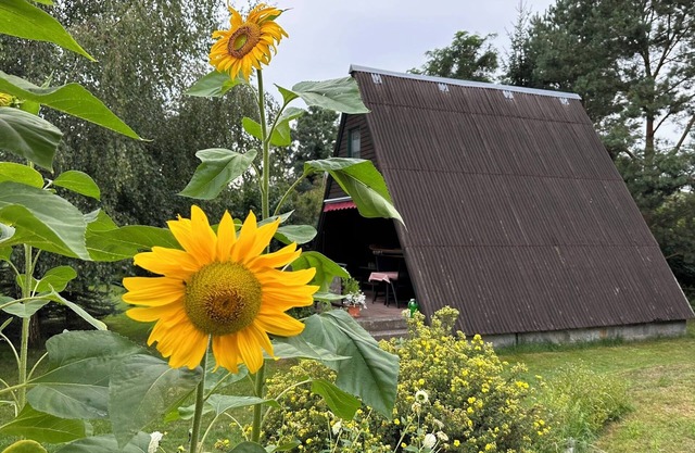 Finnhütten Waldesruh, a cozy house in the Westhavelland - Cabin B.