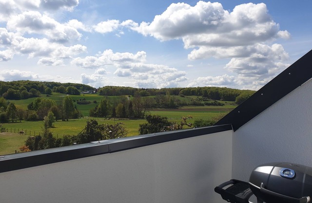 Finnish sauna infrared sauna, view, Eifel