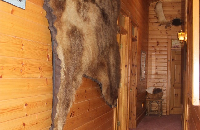 Fish Kodiak Adventures Riverside Inn Open For Private Bookings!