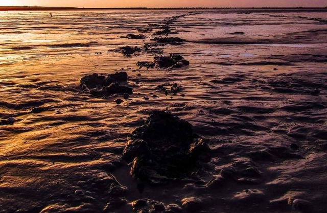Fisherman's cottage on the Wadden Sea