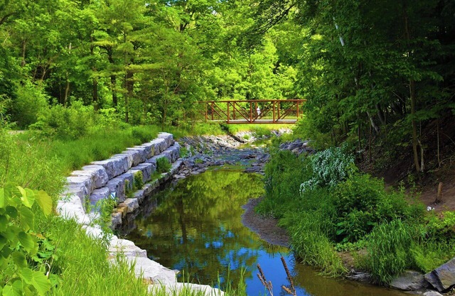 Five miles west of Central Minneapolis