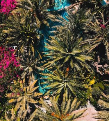 Flamingo Hotel & Spa - Pet Friendly