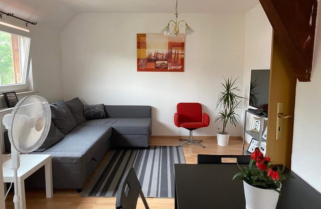 Flat for 7 ✭ Free cleaning every week ✭ TV&WIFI