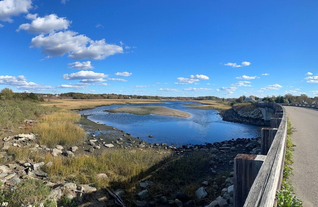 Fogland Beach Cottage. Pets welcome!