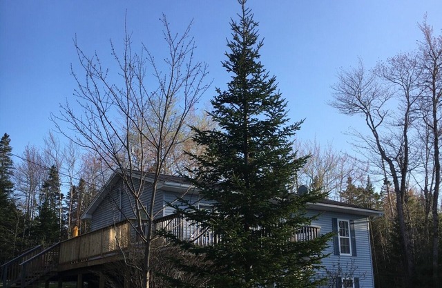 For all ages to be together but have lots of space and fun!