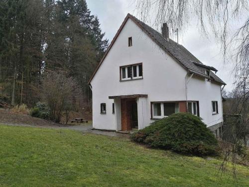 Forest Haven in Filz