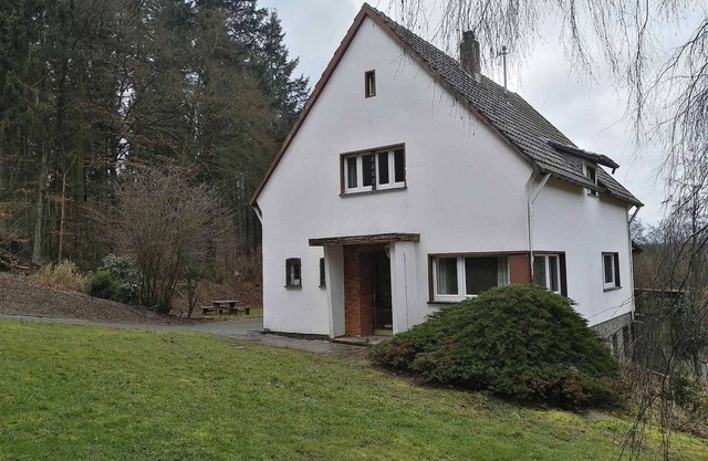 Forest Haven in Filz