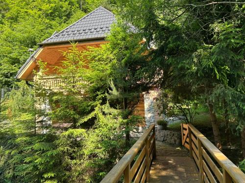 Forest House- dom nad górskim potokiem