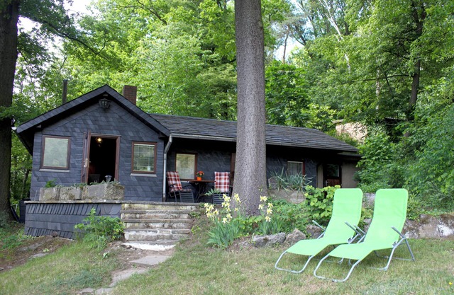 Forest hut with a view