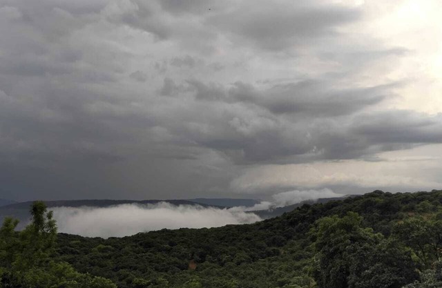 FOREST VIEW BUNGALOW