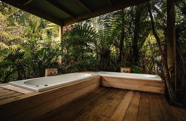 Franz Josef Treetops