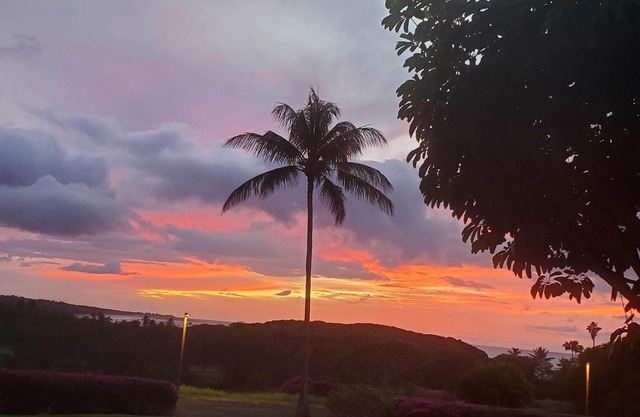 Front Row - Beautiful Oceanview Ground Floor