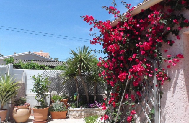 FRONTIGNAN - Single-storey house of 85 m2 - DIRECT ACCESS BEACH - Internet access