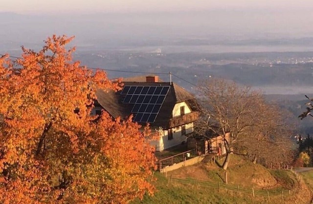 Fuchs & Hase mit Panoramablick