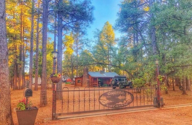 Fully fenced yard, dogs welcome!