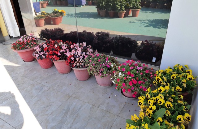 Fully Furnished 1BHK, Unit SA2 for families - room, lobby, kitchen, bathroom