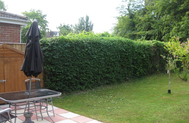 Fully furnished all confort flat with private garden!