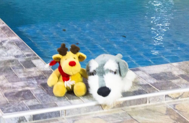 Fully private pool villa 5 minutes to beach and all amenities