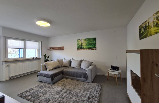 Furnished 2 Bedroom TLA/TLF Apartment in Kaiserslautern-City