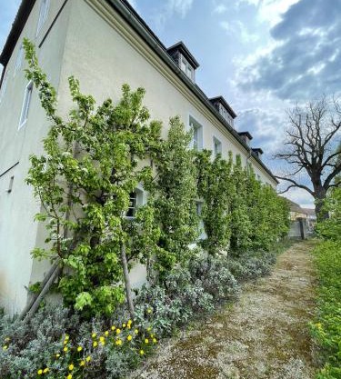 Gärtnereihaus in Fürstlich Drehna - Spreewald