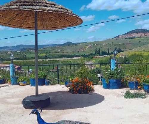 Gîte Forest Tagroumet traditionel