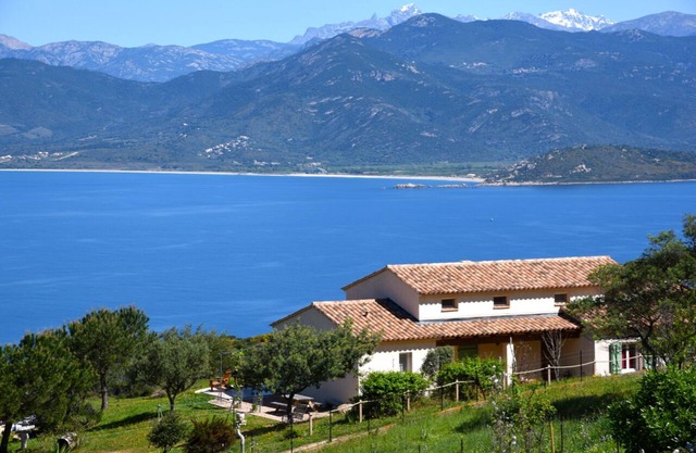 Gîte South Corsica, Cupulatta