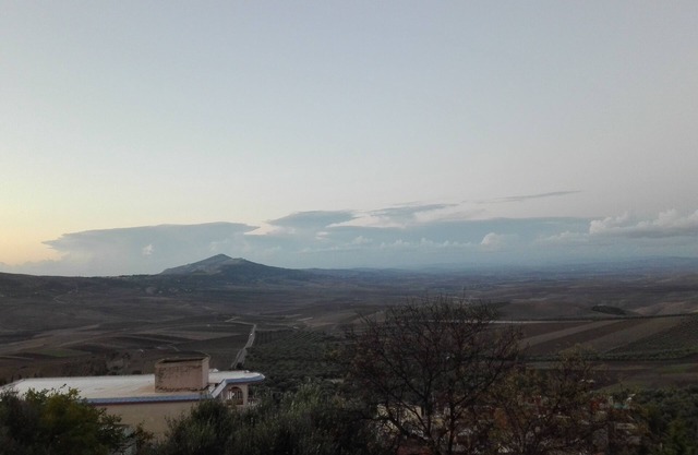 Gîte zitoun at Noureddine Lgarah in Karmat ben Salem commune oualili (volubilis)