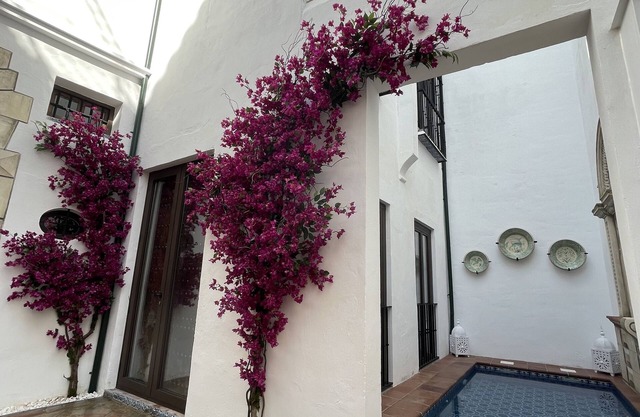 GANDESA, PALACE HOUSE. Swimming pool, Palace house heart of Historic Sevilla