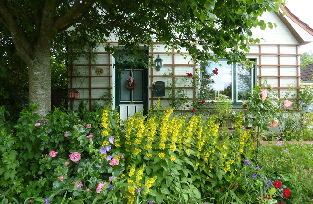 Garden idyll at the Wadden Sea National Park