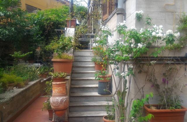 GARDEN ROOM metro C-Mirti