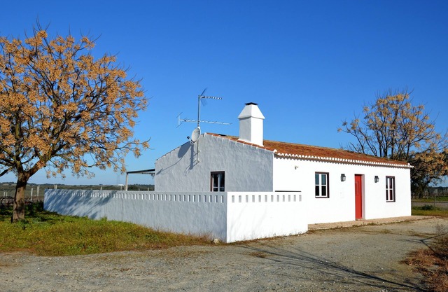 Gardian's house surrounded by vineyards and oak and olive trees