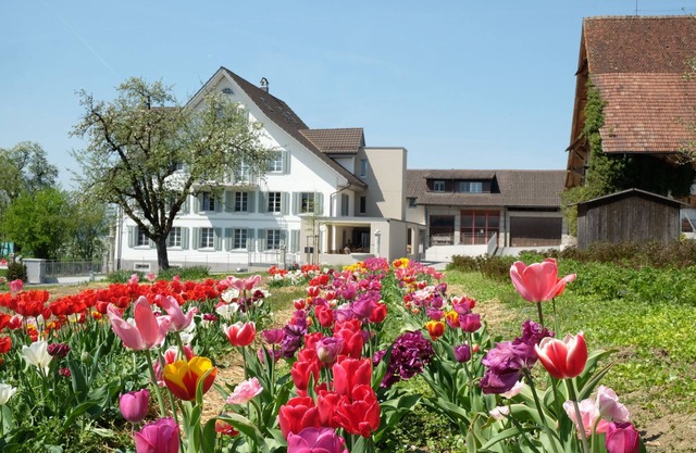 Gasthaus zum Bauernhof
