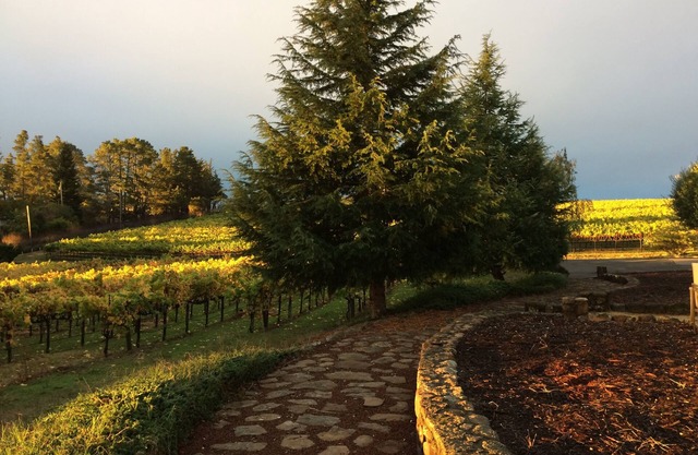 Gated Wine Country Estate Amid Hundreds of Acres of Vineyards