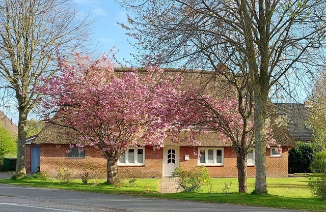 Gemütliche Ferienwohnung "erholung Unter Reet" in Bordelum/sterdebüll