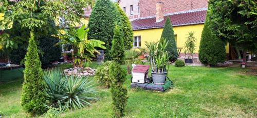 Gemütliche Wohnung Mit Terrasse