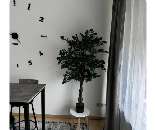 Gemütliche Wohnung in Belecke